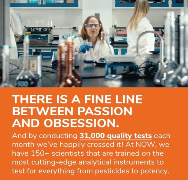 Now 나우푸드 NAC 600mg  250정, 1통