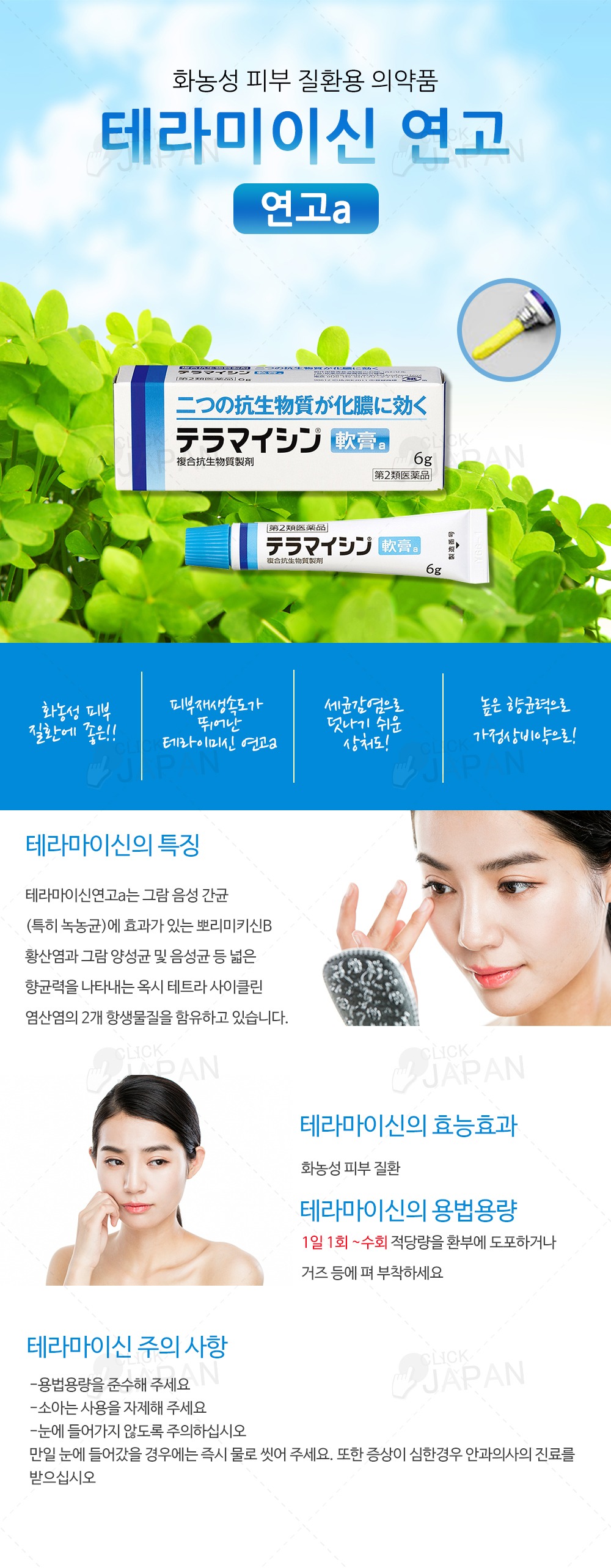 테라마이신 연고a 6g / 주부습진 피부질환 연고 / 화농성 에도 좋음